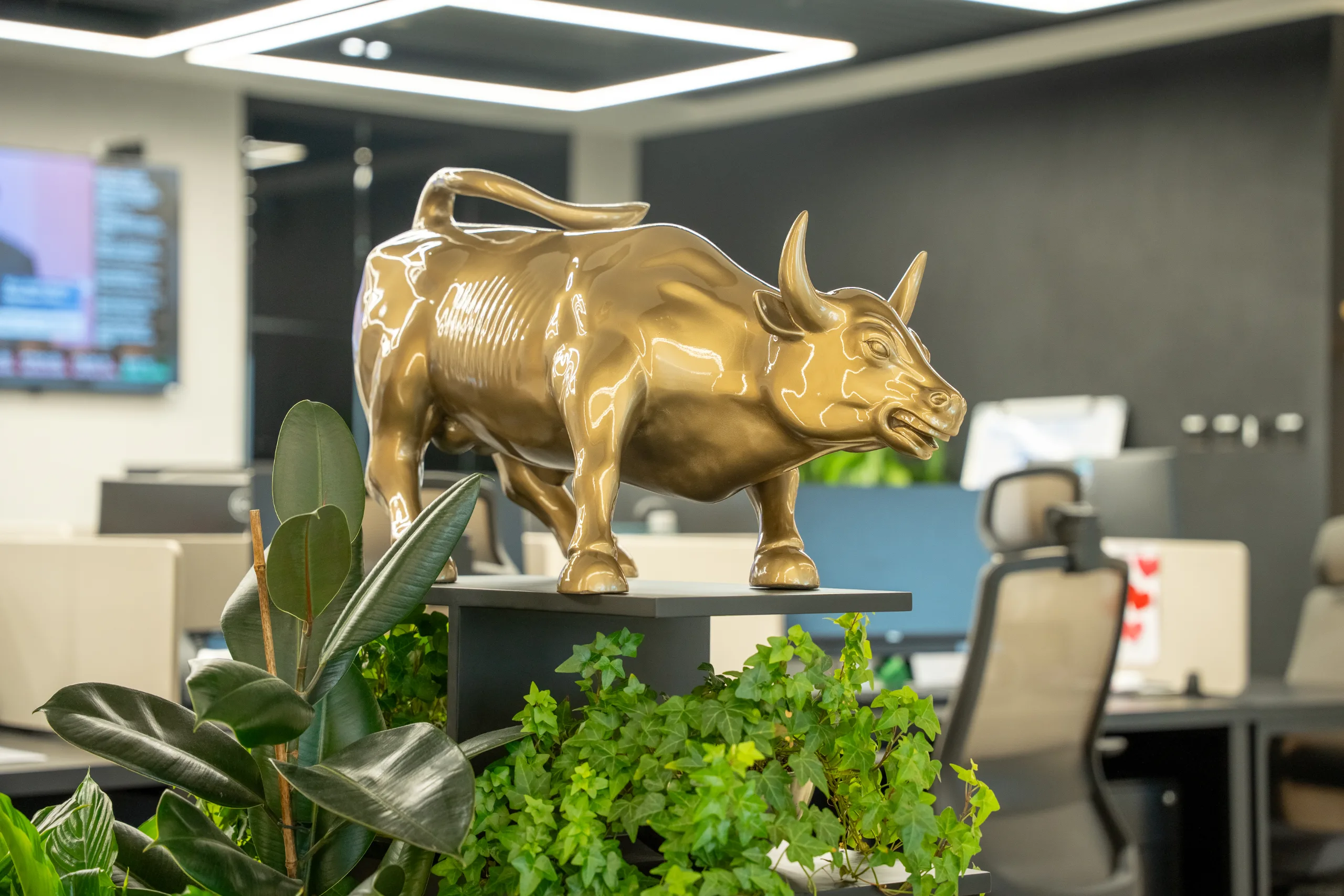 Bull — Side